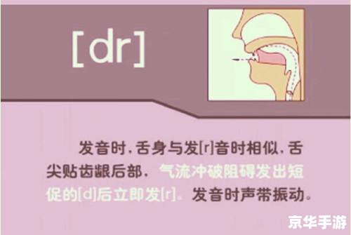 英语音标发音视频怎么用 英语音标发音视频的使用方法