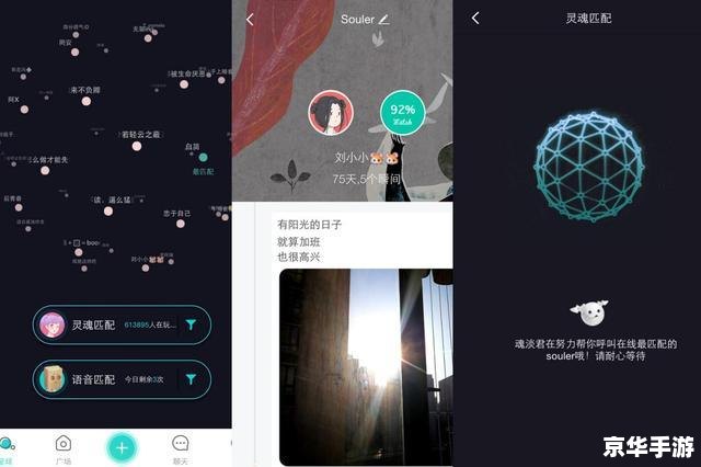 soul怎么用 深度探索：如何充分利用Soul应用程序