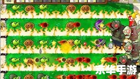 植物大战僵尸:冒险 中文标题：