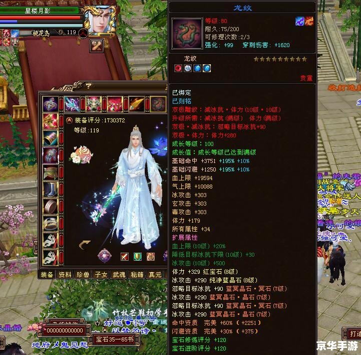 建议：《天龙八部峨眉派：优雅与实力并存的武侠巅峰》