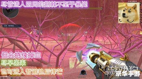 埃及艳后的魅力与影响力：如何运用其智慧和策略