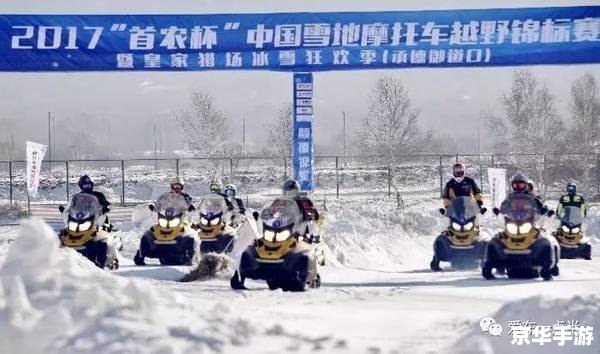 建议：《地铁跑酷雪地版：踏雪疾驰，尽享冬日激情》