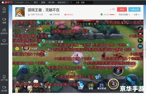 王者荣耀抱枕图片大全——游戏与周边文化的完美融合