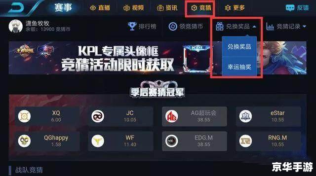 王者荣耀抱枕图片大全——游戏与周边文化的完美融合