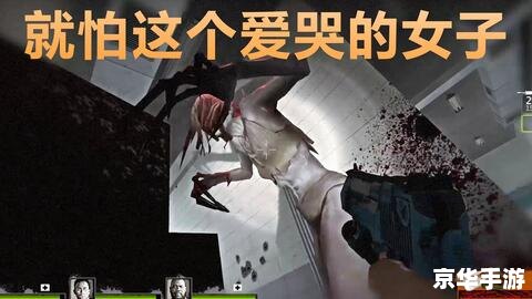 求生之路2联机：合作与生存的挑战