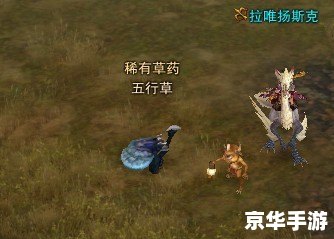 九阴真经寒鸦草：游戏内的珍稀草药与激烈争夺
