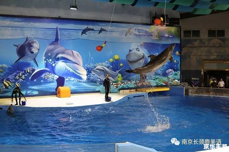 海底总动员怎么用 深入探索海底总动员的使用方法