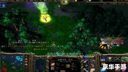 建议：《Dota复仇之魂：游戏玩法与策略探讨》