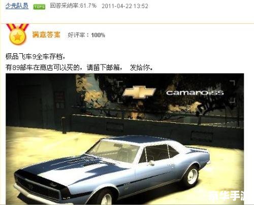 极品飞车10完美存档 **极品飞车10：完美存档背后的速度与激情**