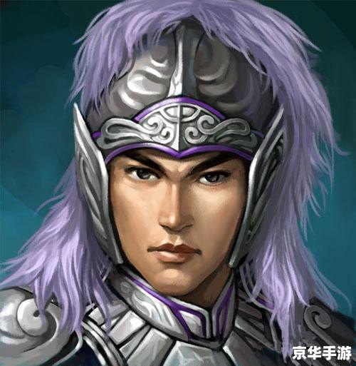 新三国 赵云 **《新三国赵云》：英勇无敌的常胜将军**