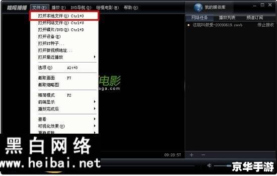 vagaa软件怎么用 Vagaa软件的使用方法详解