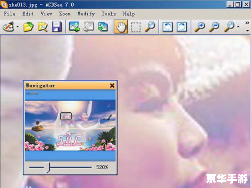 acdsee中文版