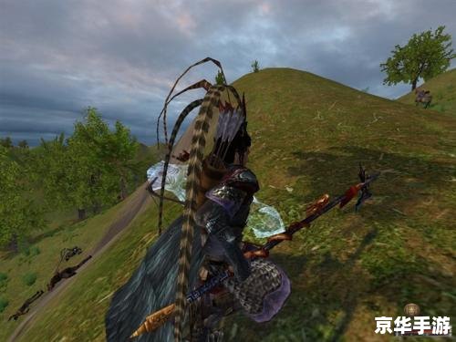 骑马与砍杀无双三国作弊 **骑马与砍杀：无双三国中的作弊现象探讨**