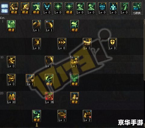 **新飞飞巫师加点策略探讨**