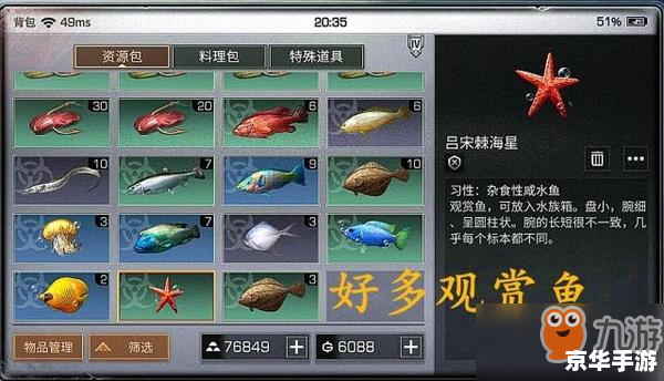 明日之后钓鱼 **明日之后：钓鱼系统深度解析**