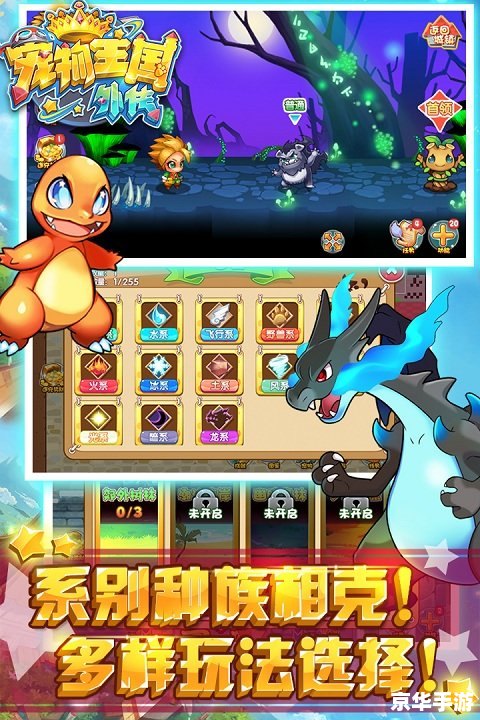 宠物小精灵BW141：探索、挑战与伙伴的奇妙冒险