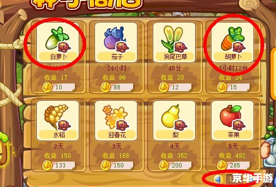 洛克王国蒜头熊：游戏中的伙伴与冒险