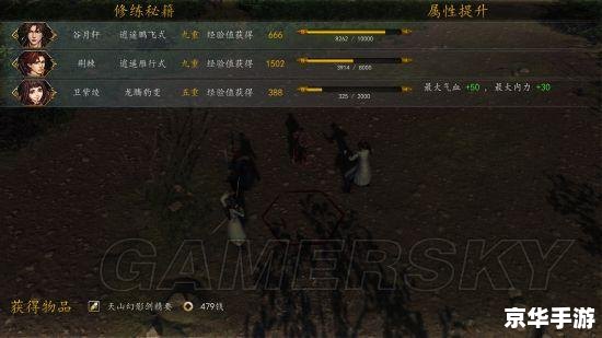 侠客风云传修改器 **《侠客风云传》修改器详解：游戏更畅快，体验再升级**