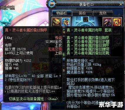 dnf没频道 DNF频道缺失问题深度解析