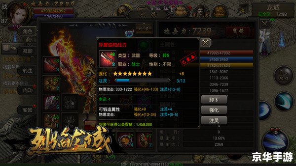 LOL国服第一系列：揭秘巅峰玩家的背后故事