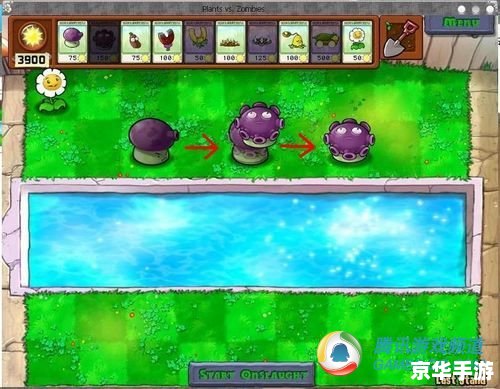 植物大战僵尸全存档攻略与心得