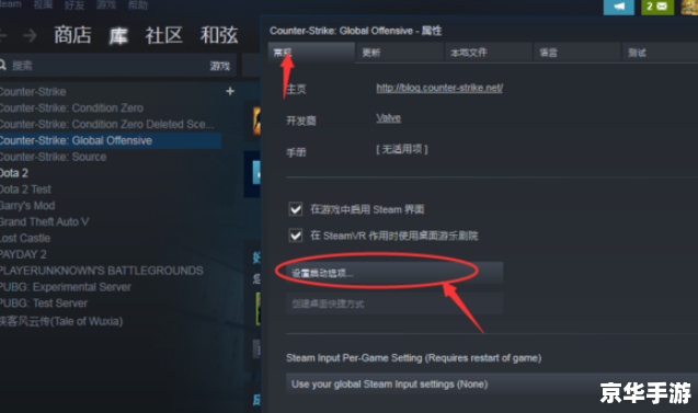 CSGO国际服启动项设置全攻略