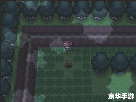 宠物小精灵白金攻略 **宠物小精灵白金版：攻略与心得**