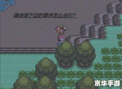 宠物小精灵白金攻略 **宠物小精灵白金版：攻略与心得**