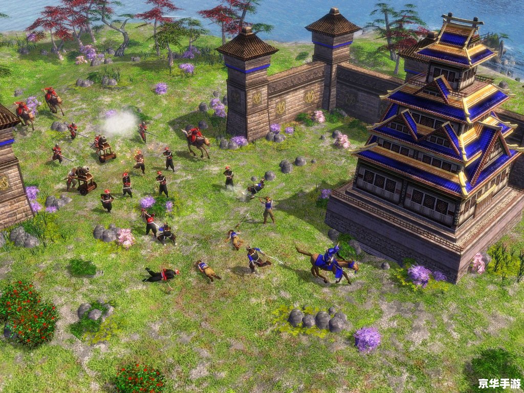 **帝国时代2单机版：重温经典，战略之魅力再现**