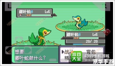口袋妖怪黑白 金手指 **《口袋妖怪黑白》金手指：探索、挑战与无尽乐趣**