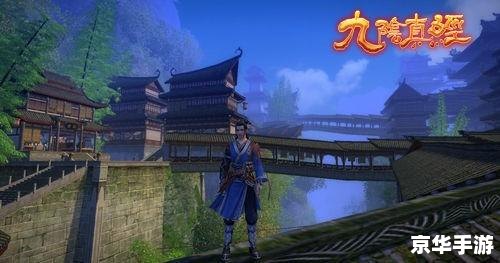 九阴真经唐门4内：武侠世界的新篇章