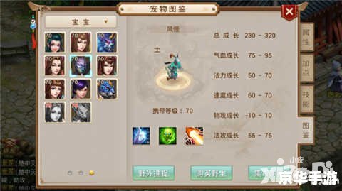 **艾尔登法环加点攻略：打造无敌角色的秘诀**