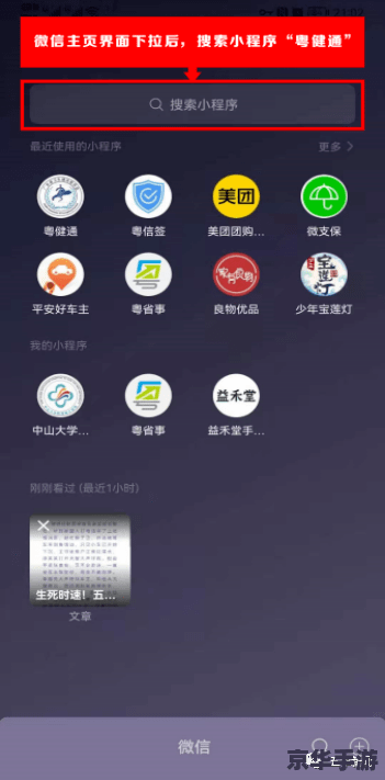 粤苗APP安装教程
