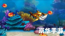 大鱼吃小鱼双人版：深海争霸