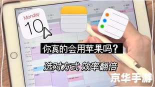 桃园官网怎么用 桃园官网使用指南：轻松掌握游戏操作