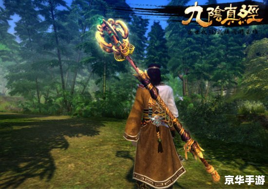 【九阴真经少林】探秘：少林派在九阴真经中的独特魅力