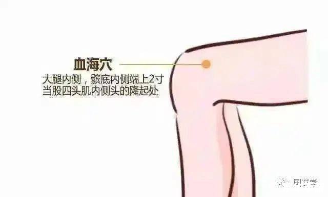 原神胡桃不遮副乳图片 原神胡桃角色魅力与游戏内容的深度探讨