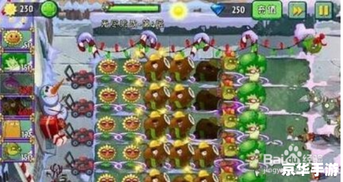 植物大战僵尸2攻略 植物大战僵尸2：全面攻略与技巧