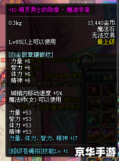 DNF魔道学者技能解析与实战应用