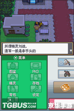 **口袋妖怪金心存档：探索、挑战与无限乐趣**