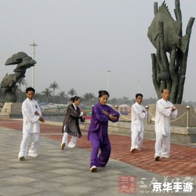 24式太极拳视频怎么用 24式太极拳视频的使用方法与技巧