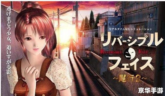 尾行3丽子攻略：探索、挑战与决策的游戏体验
