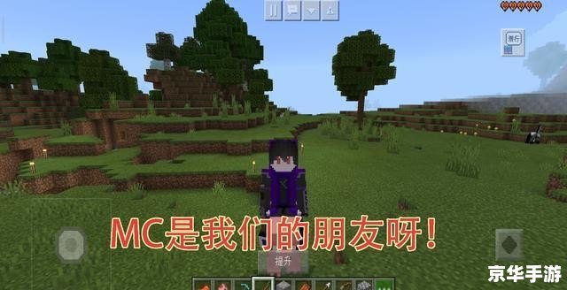 我的世界怎么玩 探索、创造与生存：深入解析《我的世界》的游戏魅力