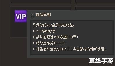 洛奇英雄传VIP：游戏中的特权与体验