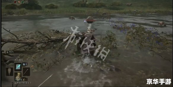 **艾尔登法环战灰：探索、战斗与策略的完美结合**