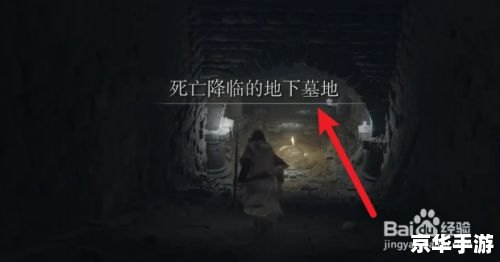 **艾尔登法环双持：探索、战斗与策略的深度结合**