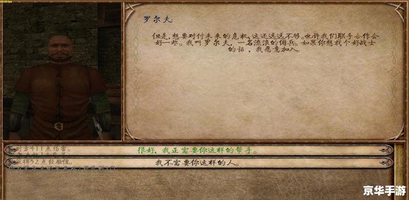 骑马与砍杀泡菜攻略 **骑马与砍杀：泡菜攻略与游戏深度解析**