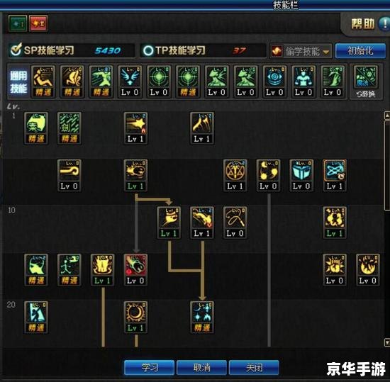 DNF征服者加点策略探讨