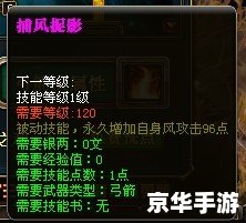 御龙在天技能加点 御龙在天：技能加点策略与战斗力的提升