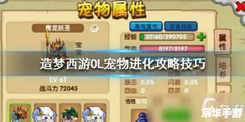 造梦西游3抓宠物：游戏攻略与心得